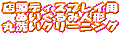 �X���f�B�X�v���C �ې􂢃N���[�j���O